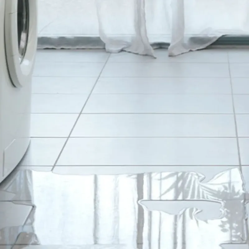 Appliance Leak Cleanup in Puyallup, WA