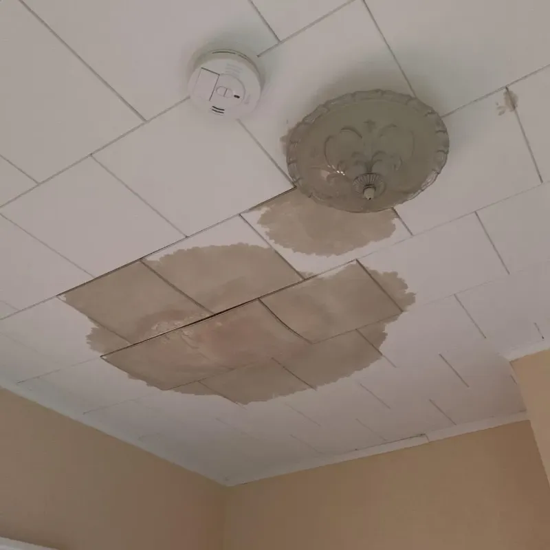 Ceiling Water Damage Repair in Puyallup, WA