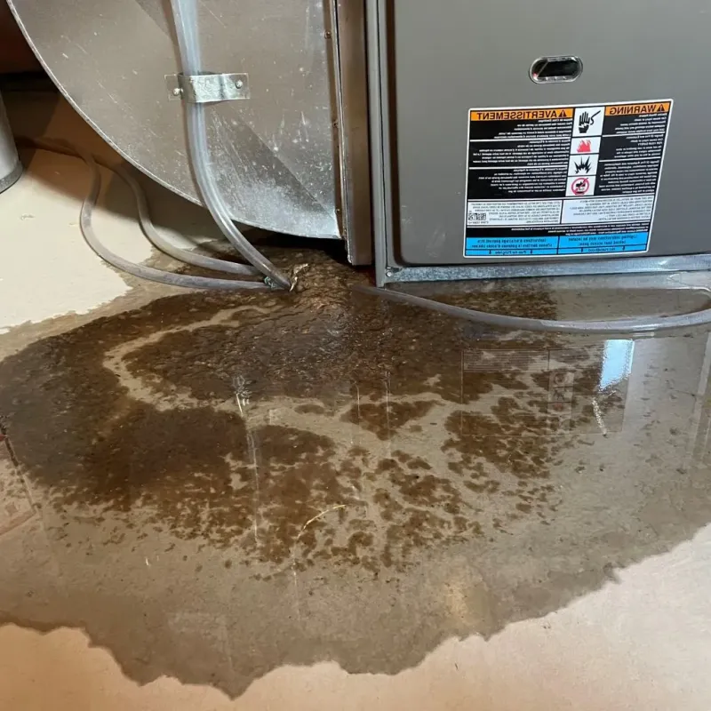 Pipe Burst and Leak Restoration in Puyallup, WA